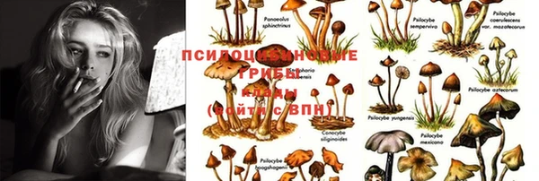 сатива Всеволожск