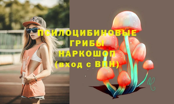 гидропоника Аркадак