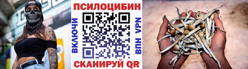 кракен как зайти  Певек  Псилоцибиновые грибы прущие грибы 